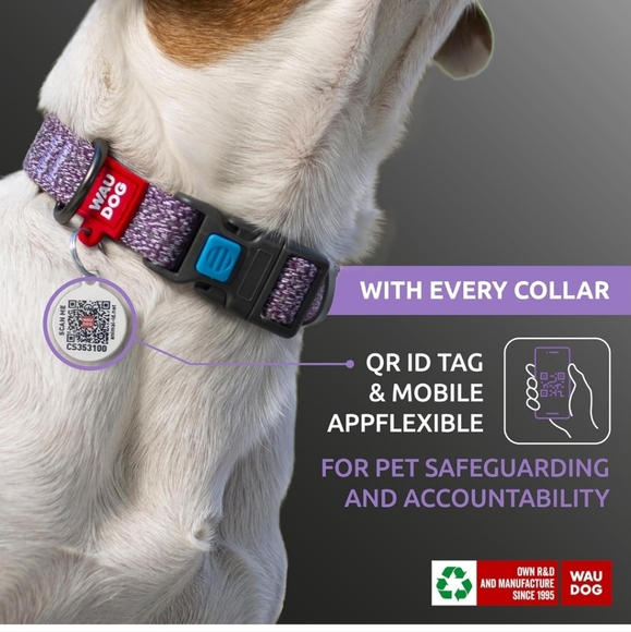 ID Tag Collar for Dogs 1 Pc - Picture 2 of 7